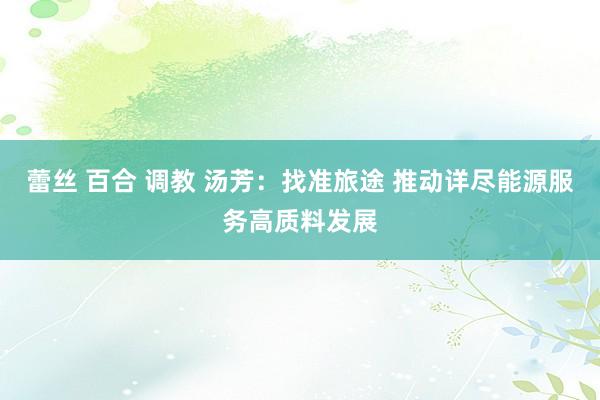 蕾丝 百合 调教 汤芳：找准旅途 推动详尽能源服务高质料发展