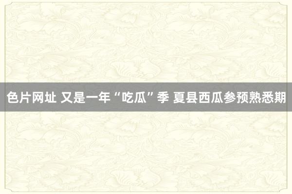 色片网址 又是一年“吃瓜”季 夏县西瓜参预熟悉期
