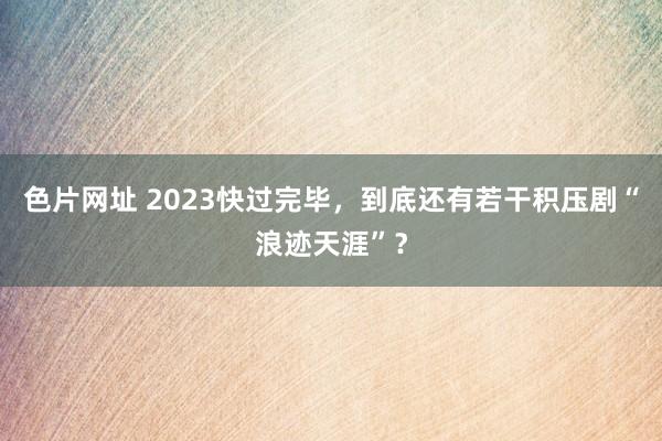 色片网址 2023快过完毕，到底还有若干积压剧“浪迹天涯”？