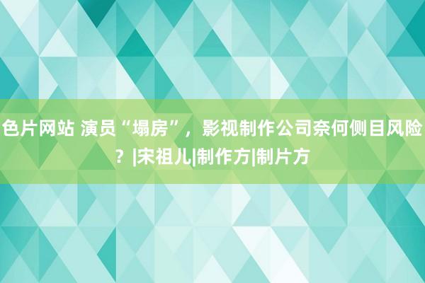 色片网站 演员“塌房”，影视制作公司奈何侧目风险？|宋祖儿|制作方|制片方