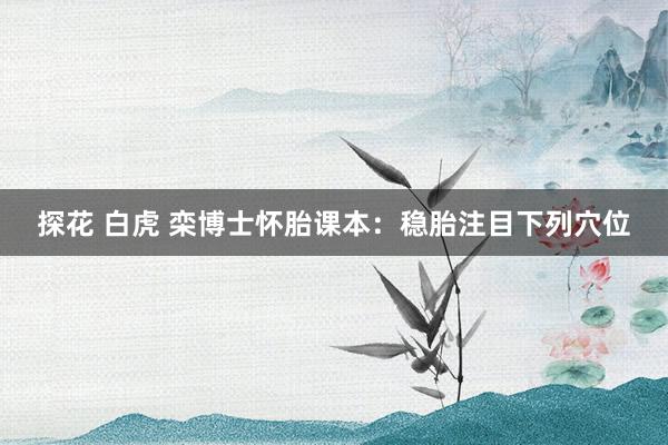 探花 白虎 栾博士怀胎课本：稳胎注目下列穴位