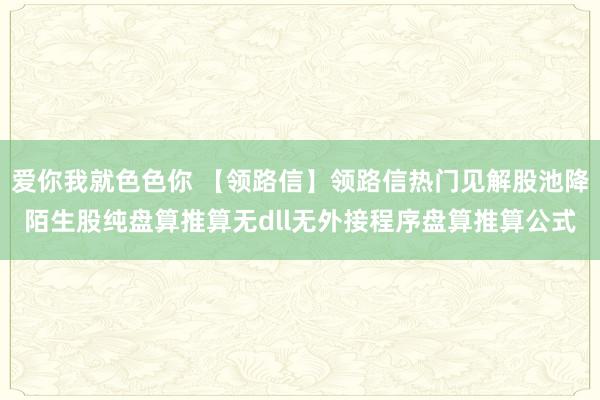 爱你我就色色你 【领路信】领路信热门见解股池降陌生股纯盘算推算无dll无外接程序盘算推算公式