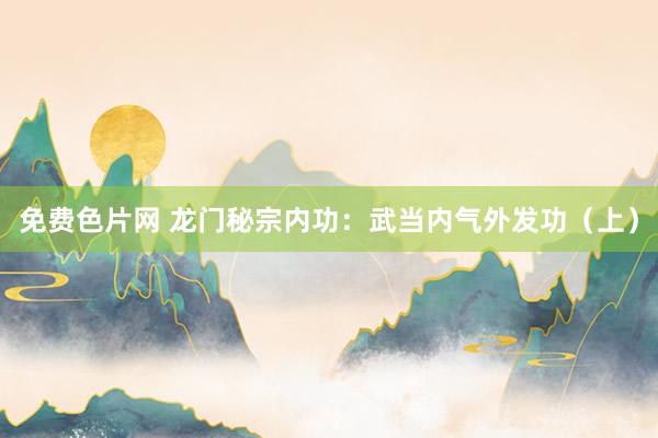 免费色片网 龙门秘宗内功：武当内气外发功（上）