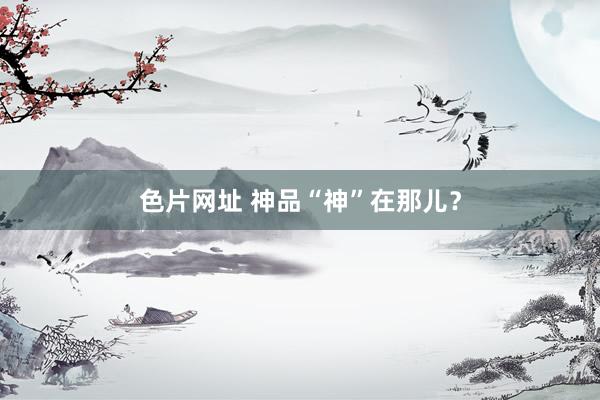 色片网址 神品“神”在那儿？