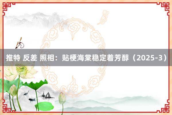 推特 反差 照相：贴梗海棠稳定着芳醇（2025-3）