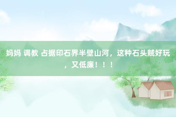 妈妈 调教 占据印石界半壁山河，这种石头贼好玩，又低廉！！！