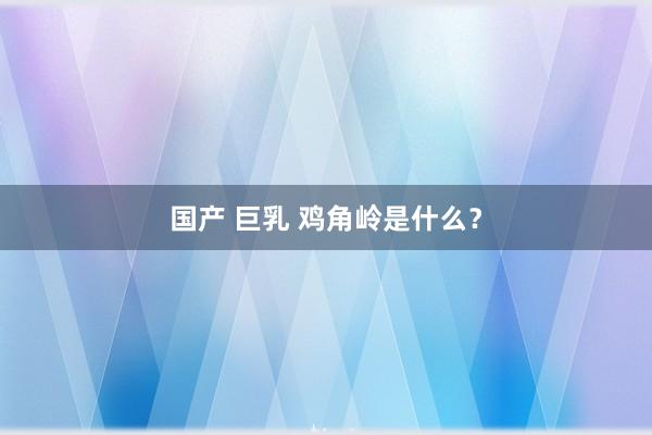 国产 巨乳 鸡角岭是什么？